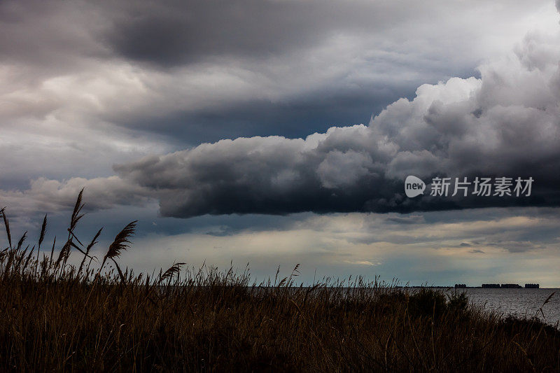 田野上灰暗的天空