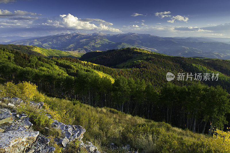 山景一览金秋彩色白杨树景观