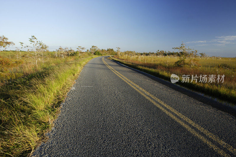 穿过大沼泽地的路