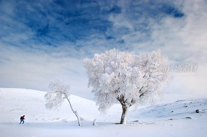 在雪地上行走的摄影师