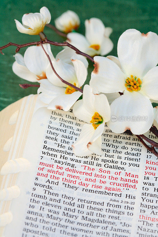 节日:复活节圣经圣经与山茱萸花