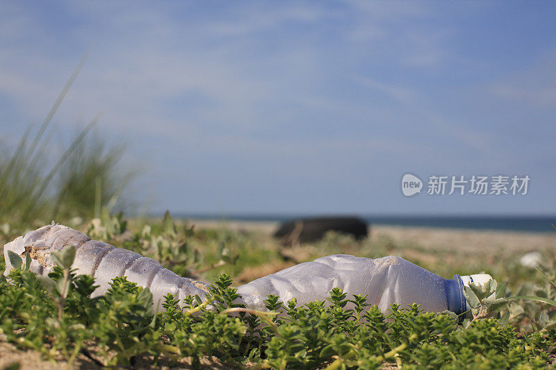 塑料垃圾-海滩上的垃圾