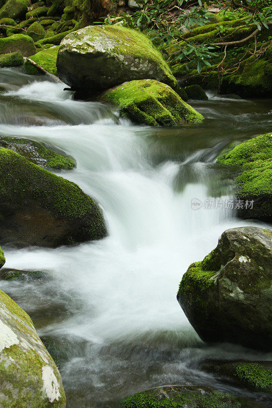 绿苔山溪流水烟山田纳西州