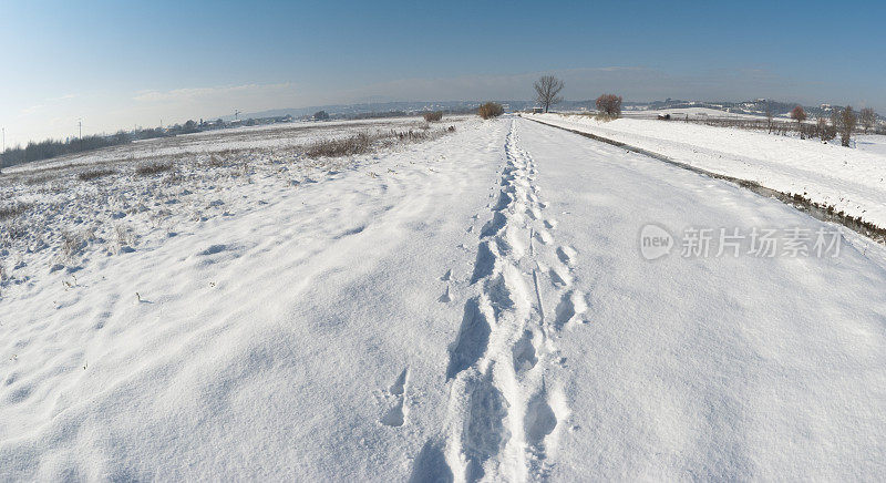 冬天雪地上的小路