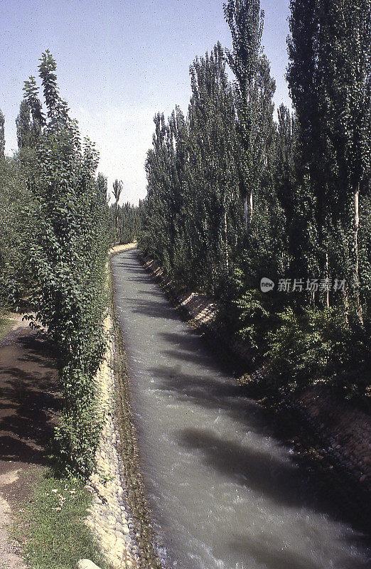 中国新疆吐鲁番的灌溉渠和防风林