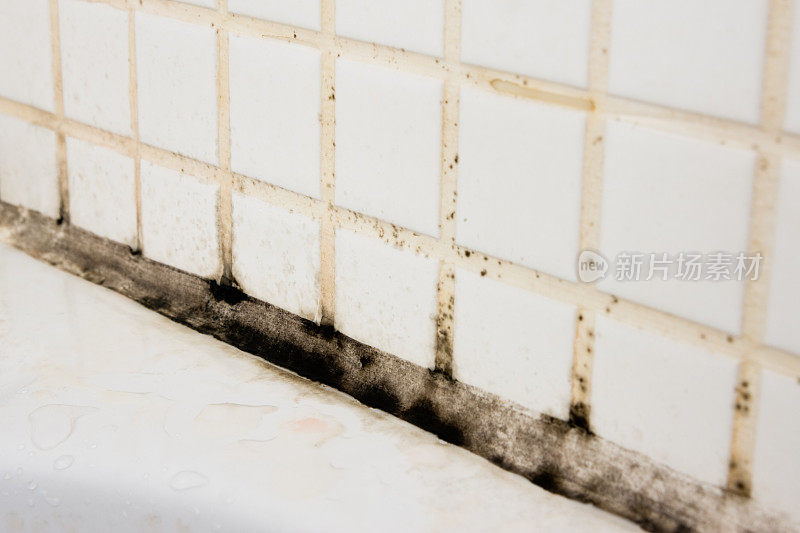 浴室污垢和霉菌在灌浆和瓷砖上
