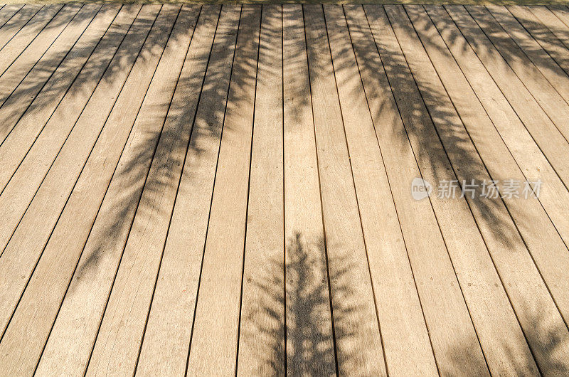 木质木板路纹理背景与棕榈叶阴影
