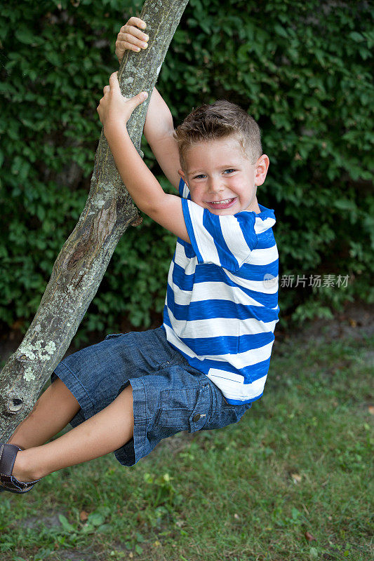 男孩在爬树