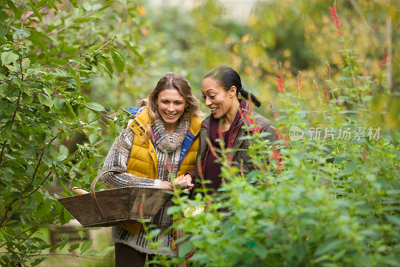 两个年轻的女人正在穿过一个城市的菜园