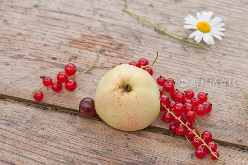 质朴的木桌上放着苹果、樱桃、红醋栗和雏菊