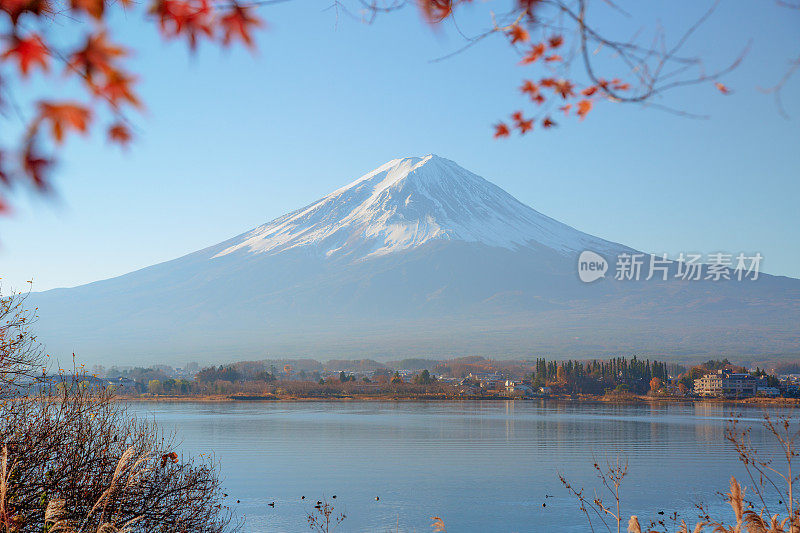 富士山和川口湖