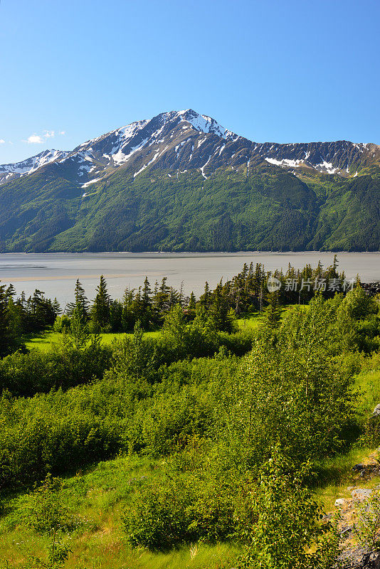 阿拉斯加特纳根手臂的山景