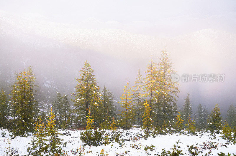 下降。山上的第一场雪。