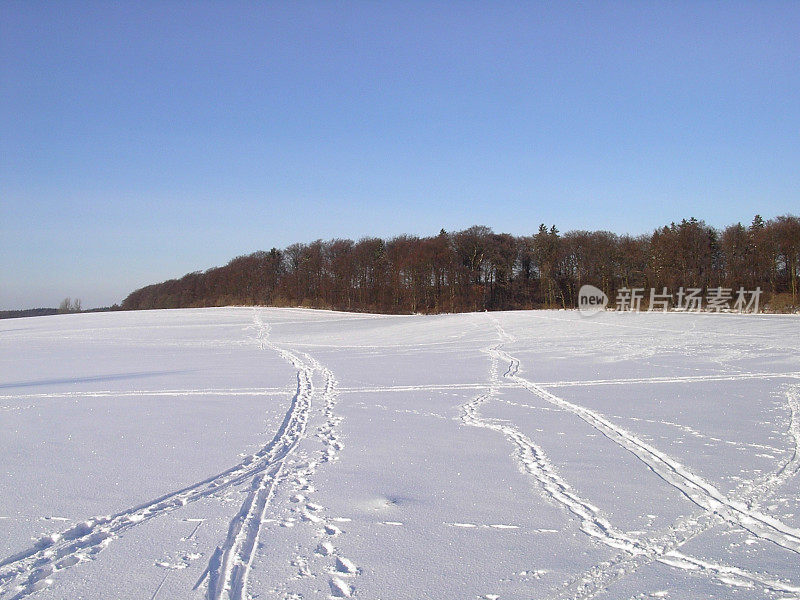 雪覆盖的领域