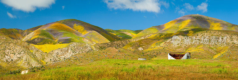 卡瑞佐平原，麦基特里克山顶下的鲜花覆盖的丘陵全景