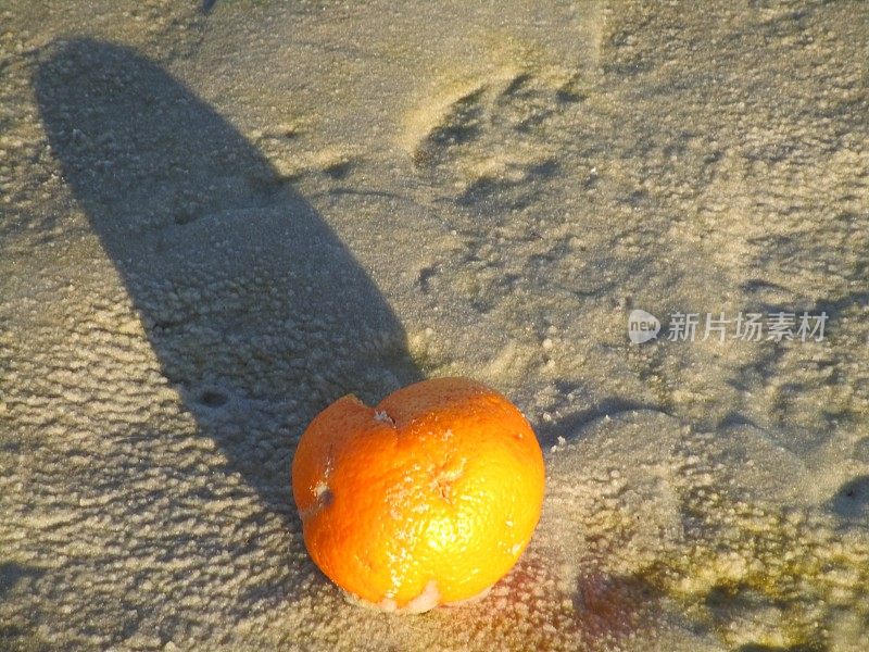橙色在海滩
