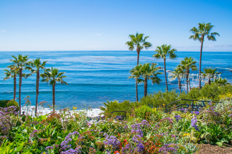 美丽的海斯勒公园，拉古纳海滩，加州