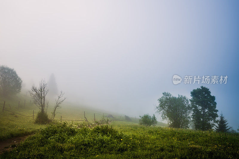 多雾的早晨的太阳