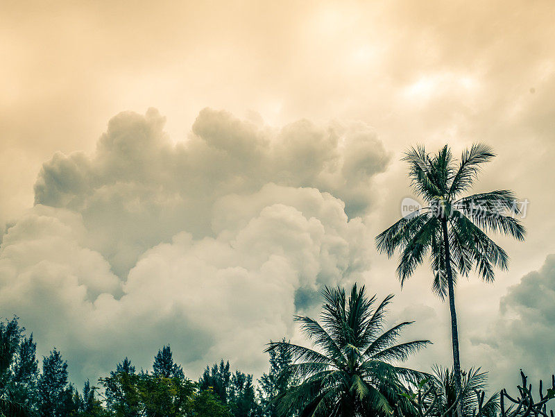 天空中形成了大片的云。热带雨林和树的顶部在前景。