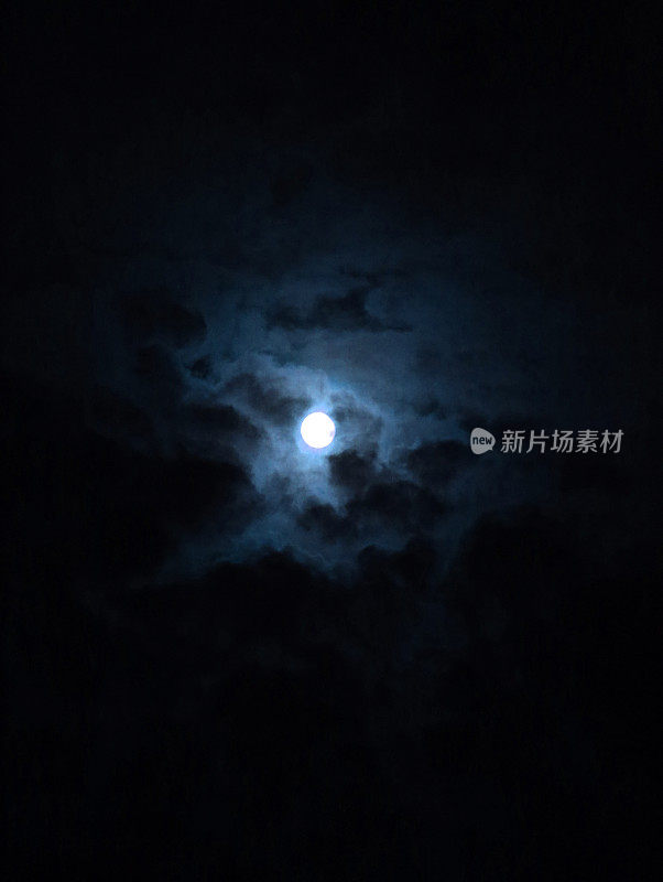 月亮在晚上