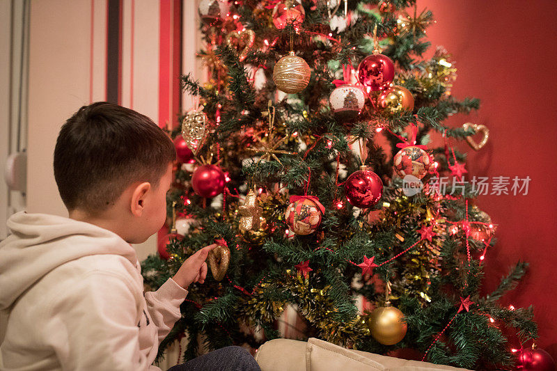 男孩站在圣诞树前