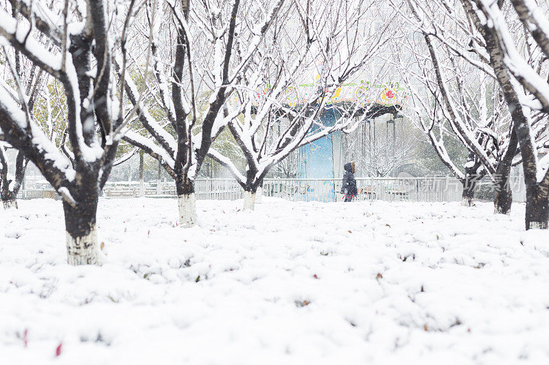 穿着暖和的衣服在雪地里行走的女人