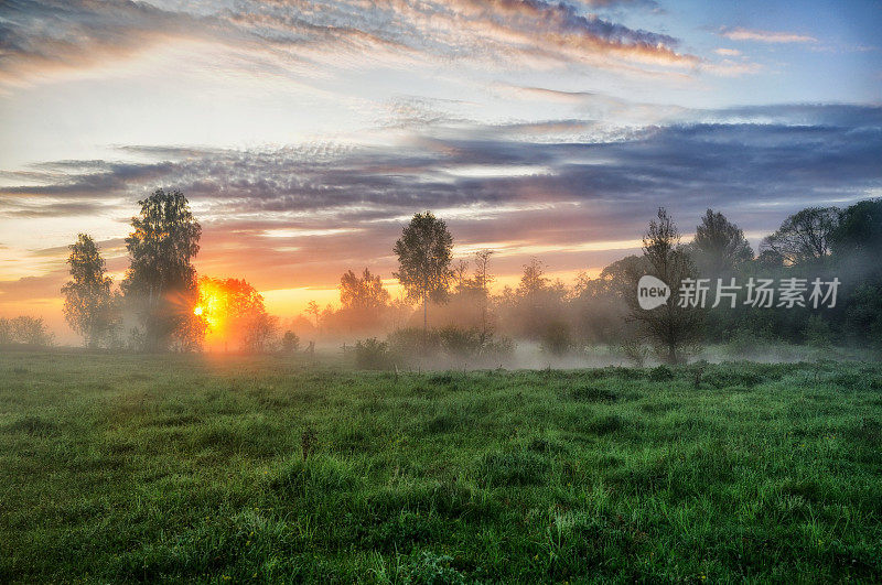 春天的早晨。一个雾蒙蒙的黎明，在风景如画的草地上。太阳光