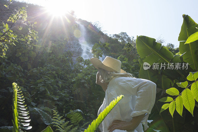 日出时，一名妇女仰望雨林中的瀑布