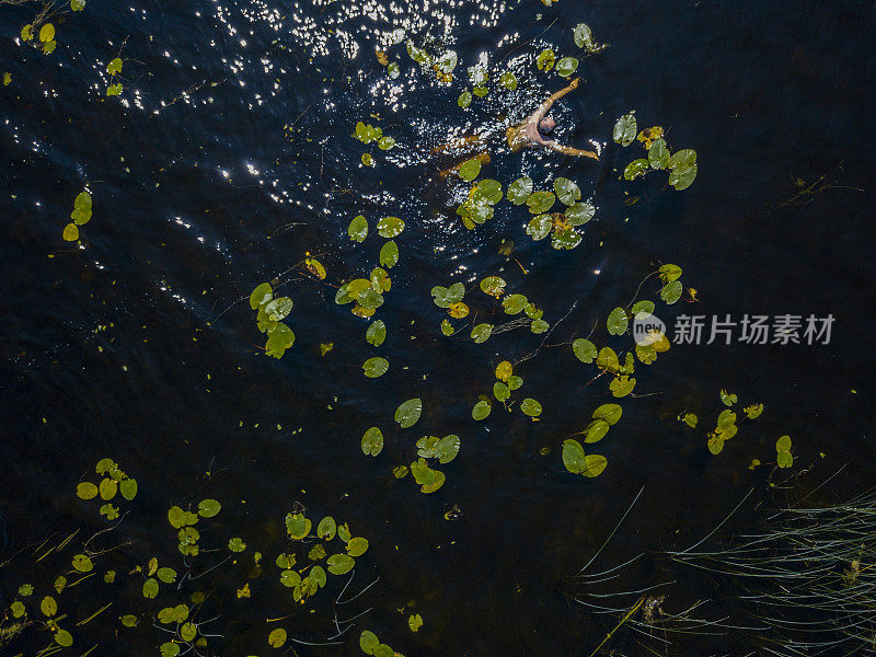 鸟瞰图的人游泳在一个湖在夏天，罗斯康芒，爱尔兰。