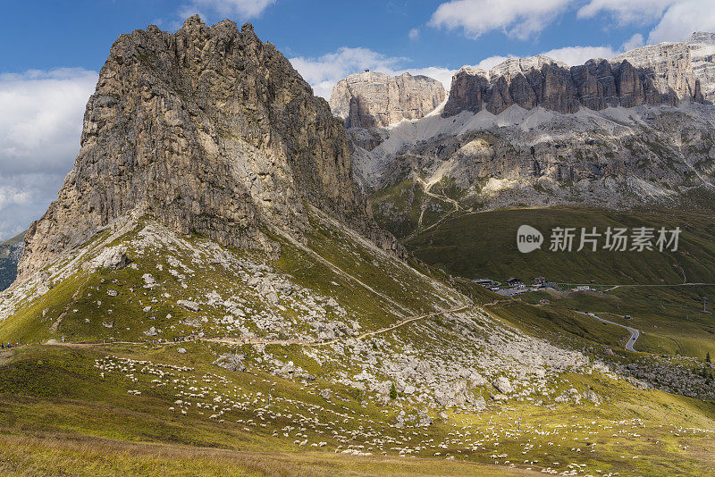 Dolomites的羊群