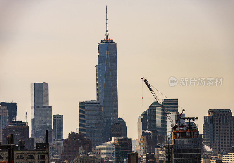 纽约城市景观