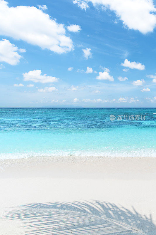 热带海滩的背景