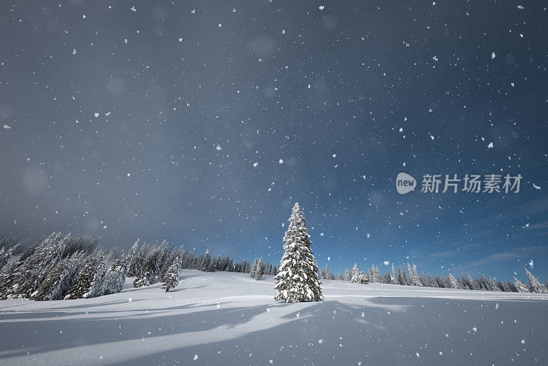 冰雪覆盖的树的冬季景观