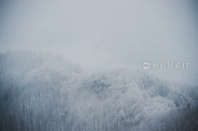 多雾的冬天的风景