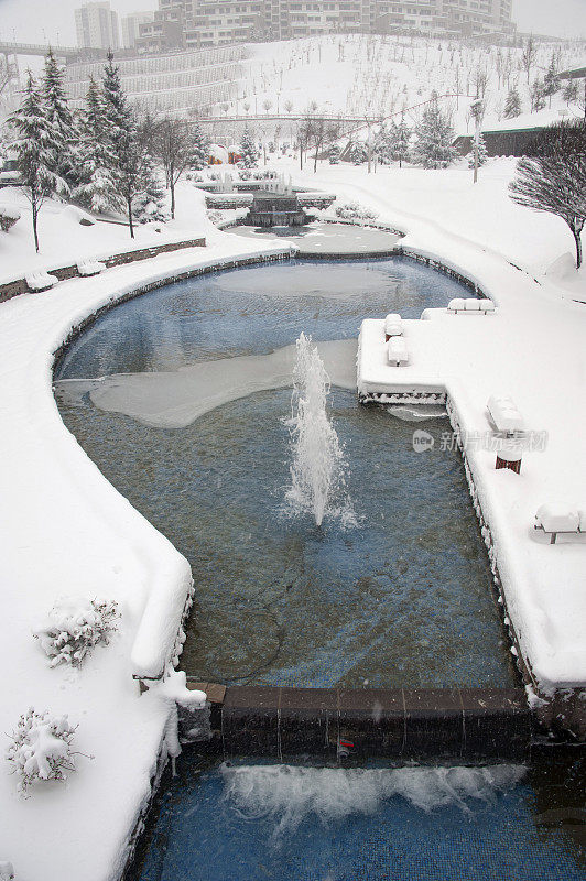 迪克门山谷里的雪树和池塘