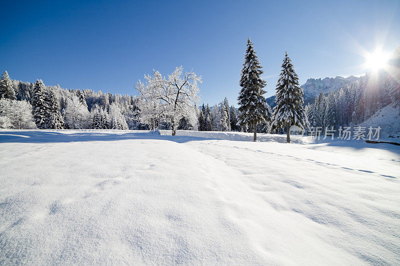 白雪皑皑的山峰