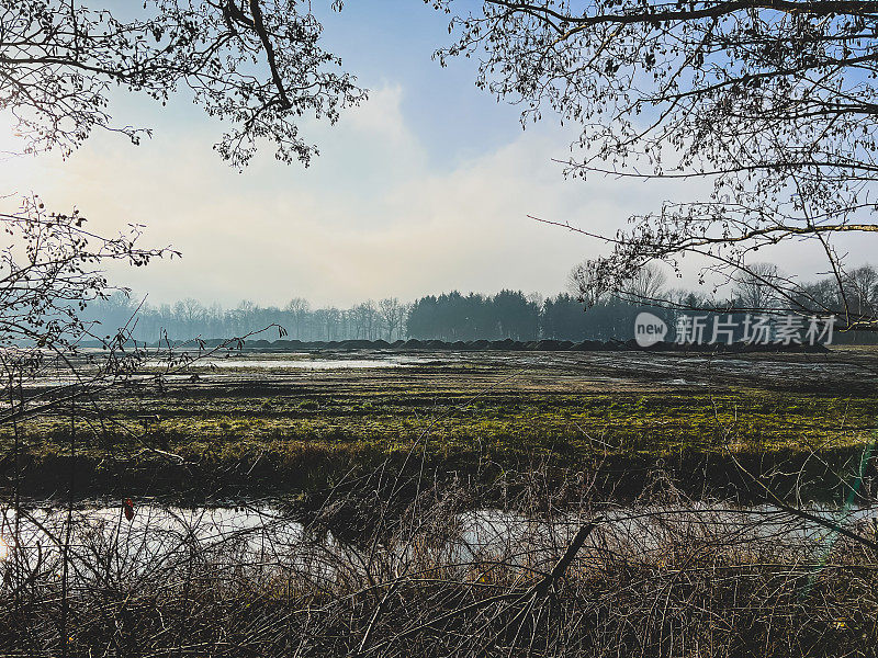 视线越过小溪和灌木丛，延伸到冬天散发蒸汽的土堆。