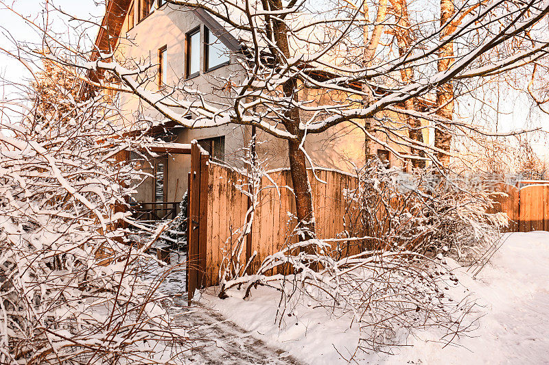 后院花园里的树被雪覆盖着