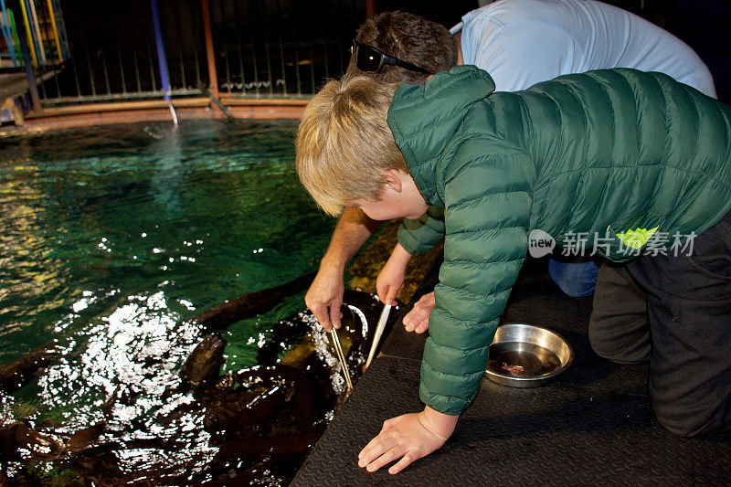 人们在水族馆喂鳗鱼