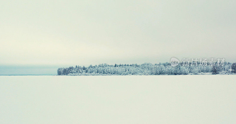 无人机拍摄的白雪覆盖的松树林