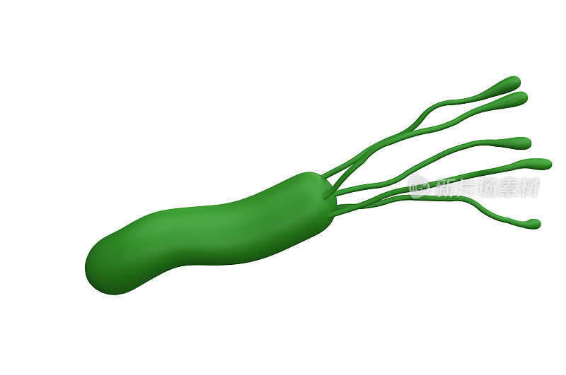 幽门螺杆菌细菌3d渲染现实医学图标与剪辑路径隔离的标志。微生物健康人体插画