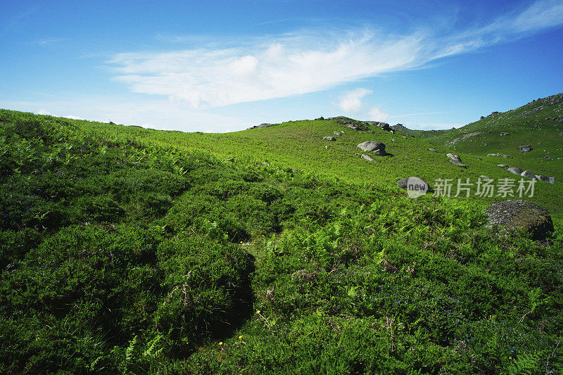 米尼奥景观