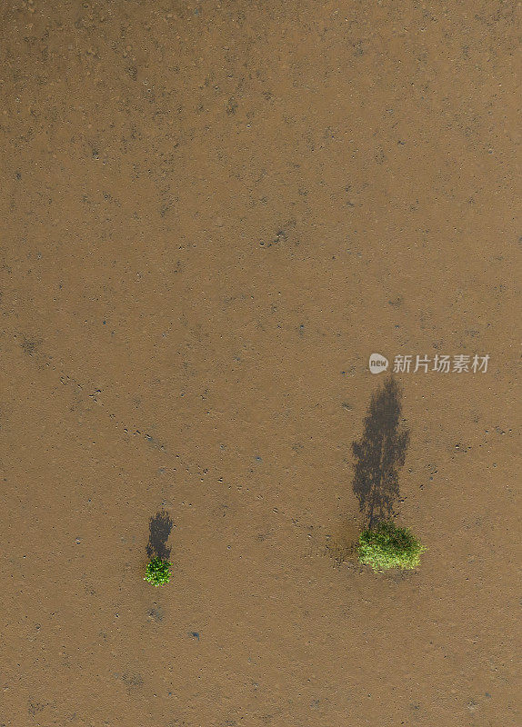 摘要航拍照片的小红树林生长在海滩上，天江省