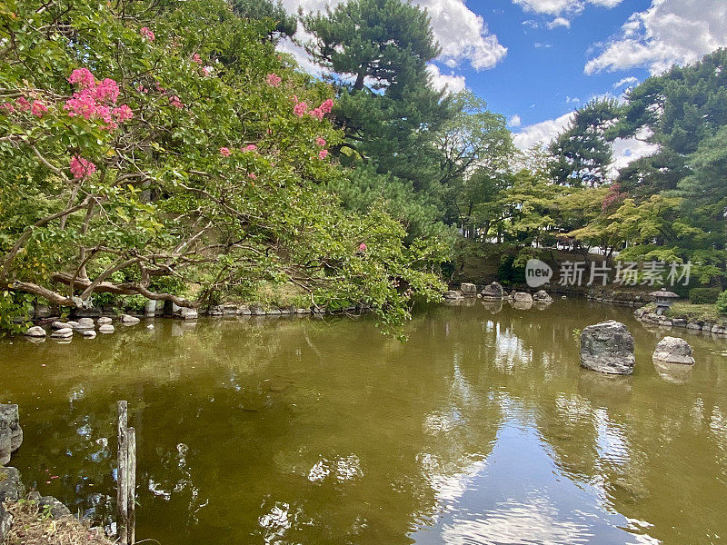 日本-京都-丸山公园