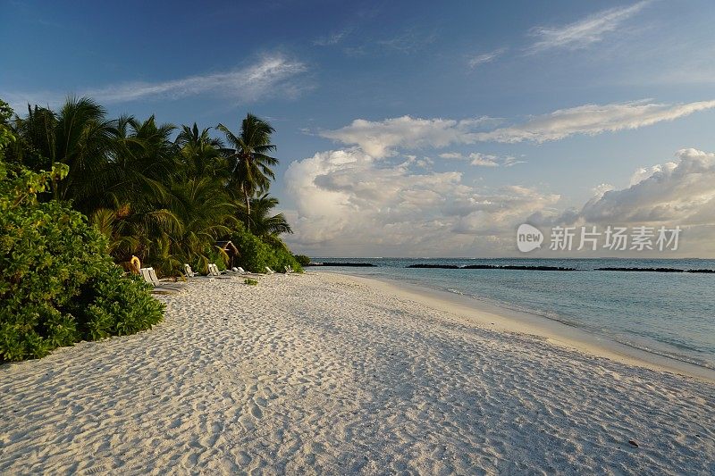 椰子树沿着蓝色的海滩