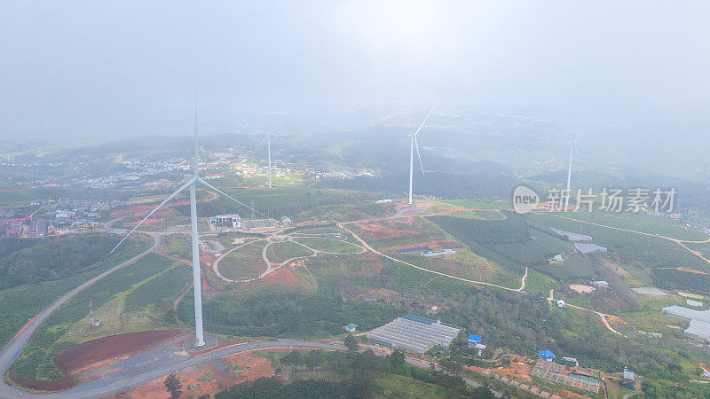 清晨美丽的风景，在大叻市，林东省。风吹茶山上，晨景山坡上茶树下