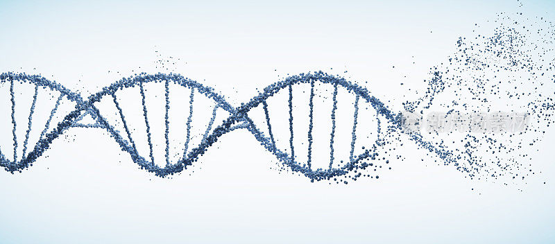 DNA螺旋螺旋分子结构，三维插图。