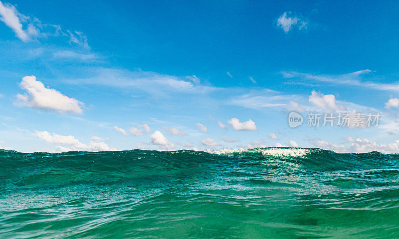 海洋风景优美，水下有海天浪，海滩有佛罗里达棕榈滩