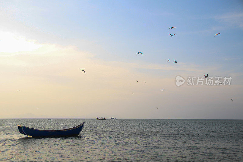 海鸥在波涛的怒吼中低飞