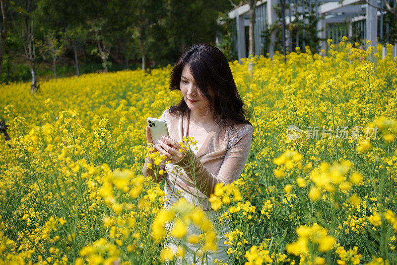 一名亚洲女子在拍摄油菜花